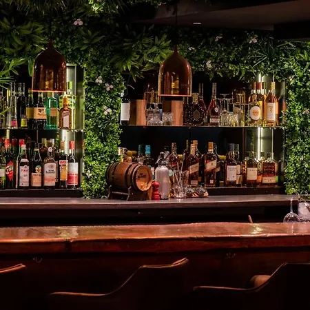 Bristol 3* 베르비에