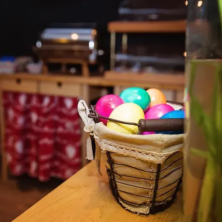 Bristol 3* Верб'є